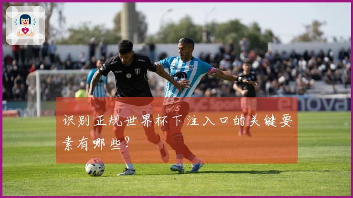 识别正规世界杯下注入口的关键要素有哪些?